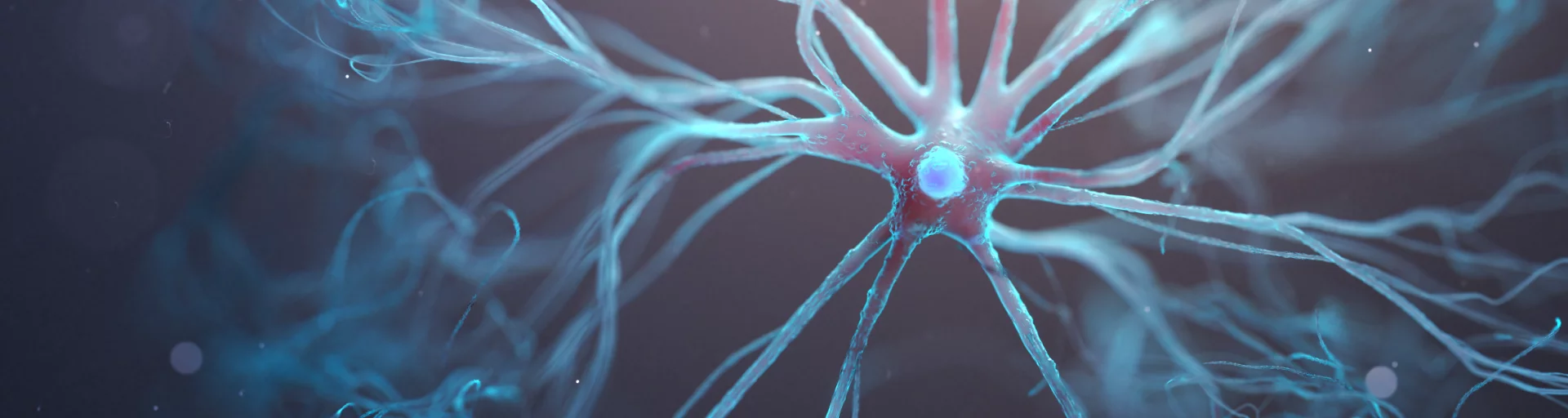 3d rendered graphic depicting a astrocyte cell.