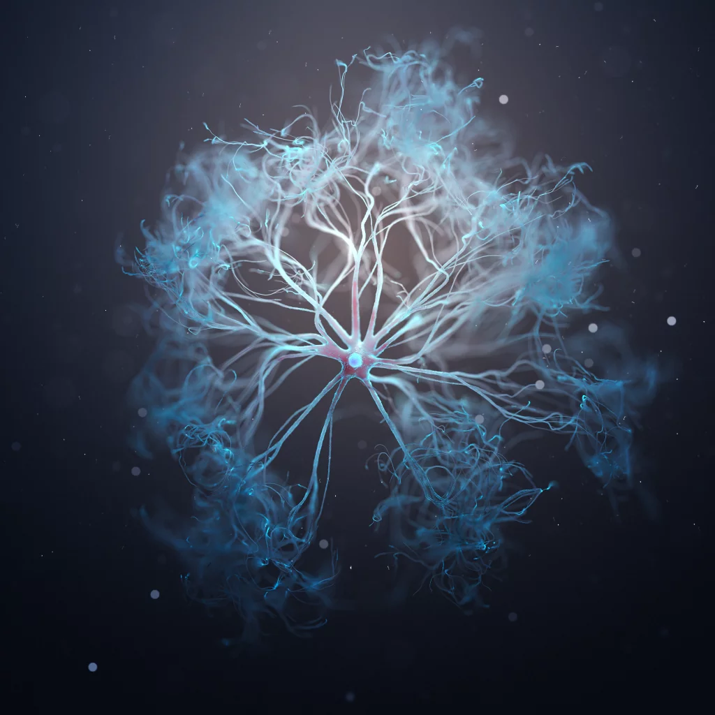 3d image of a Astrocyte cell.