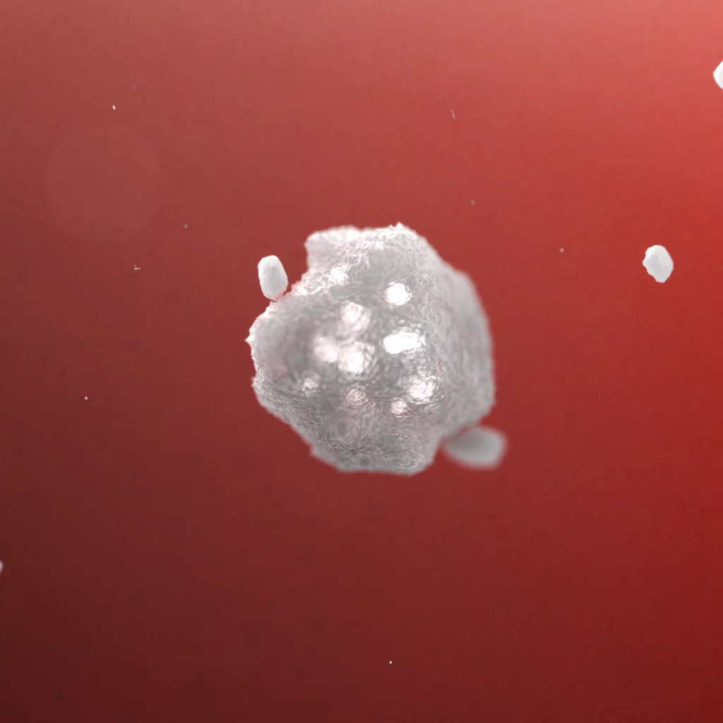 Non-activated Platelet cell with granules, proteins and other clotting factors seen inside.