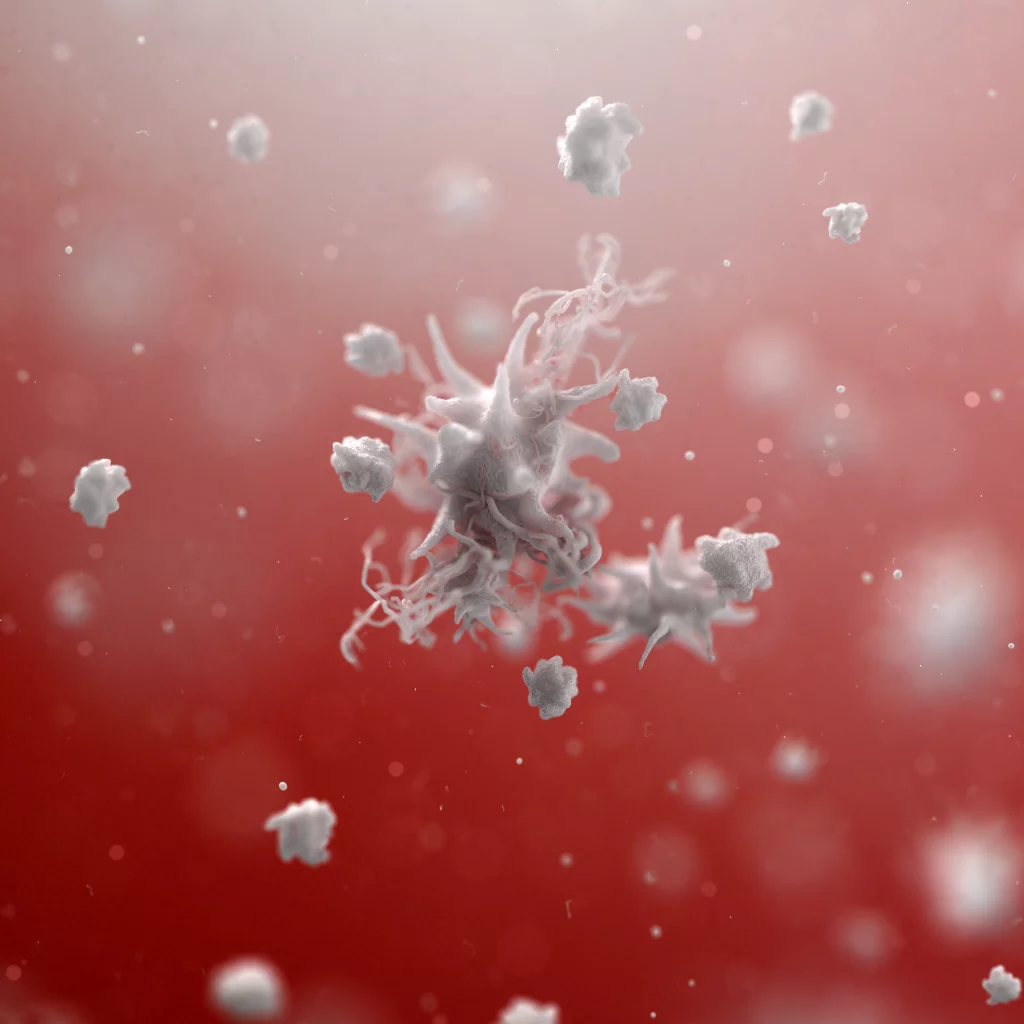 3d rendering of a clump of activated platelets floating in blood know as platelet aggregation.