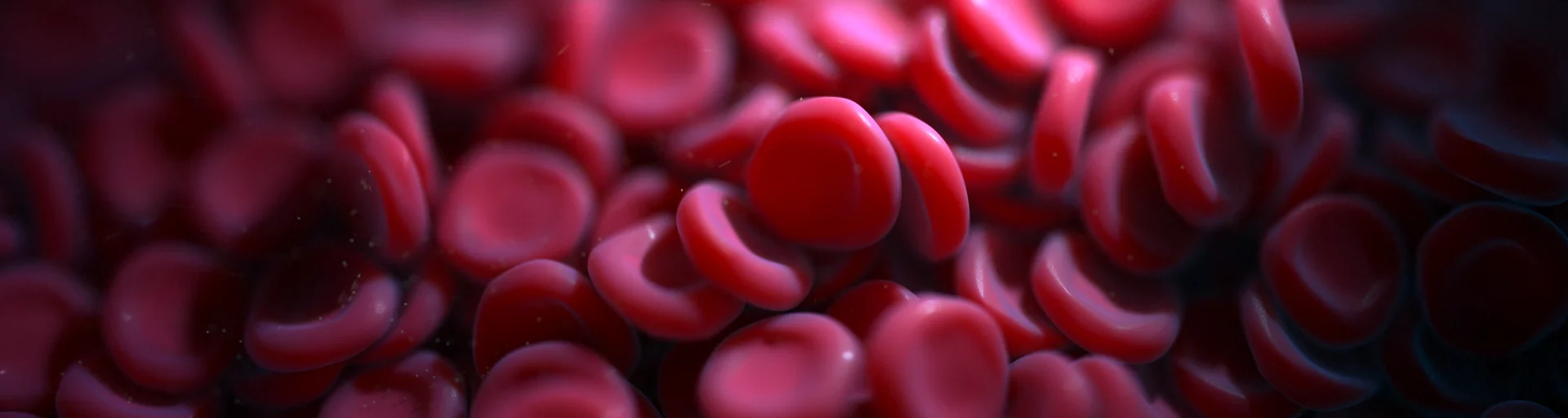 Graphic of a Red blood cell within the blood.