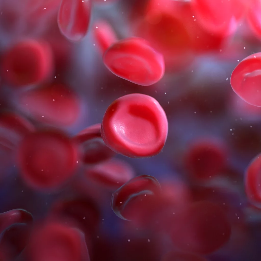 3d image of a Red blood cell.