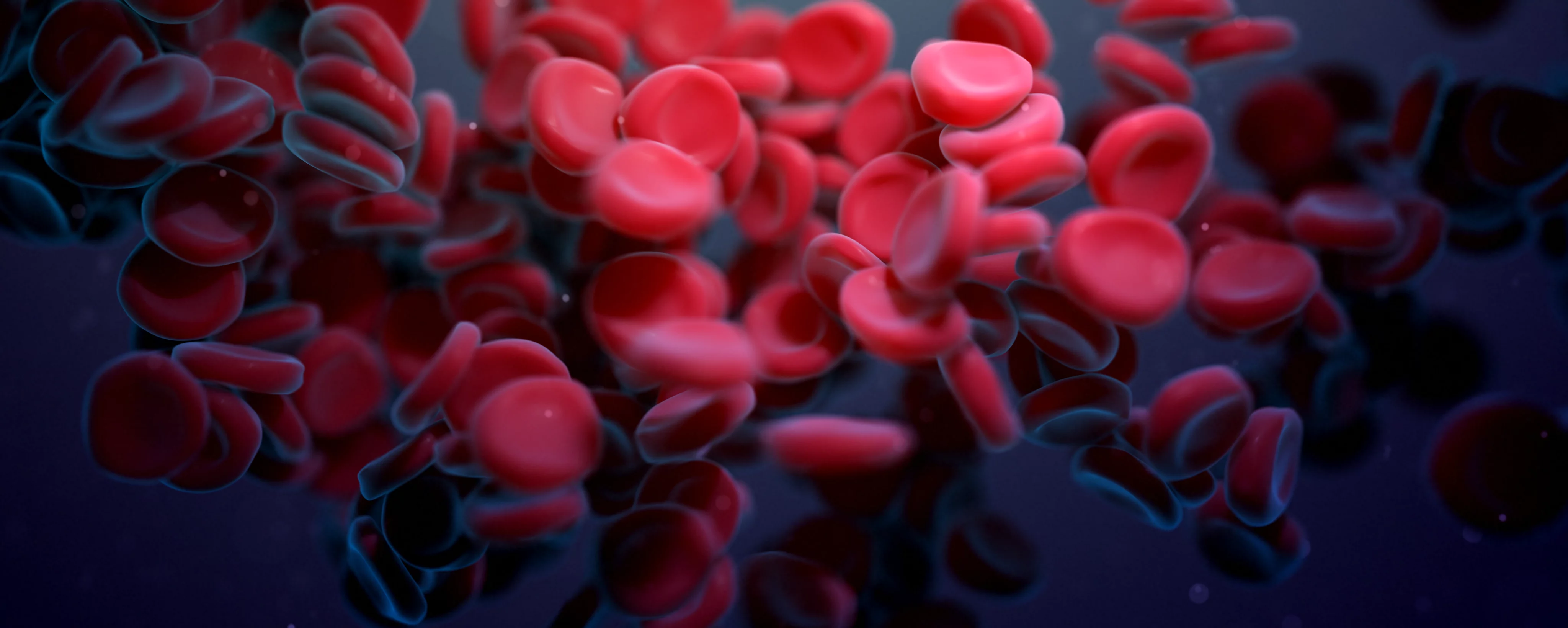 3d image showing red blood cells clumping and flowing together showing blood flow.
