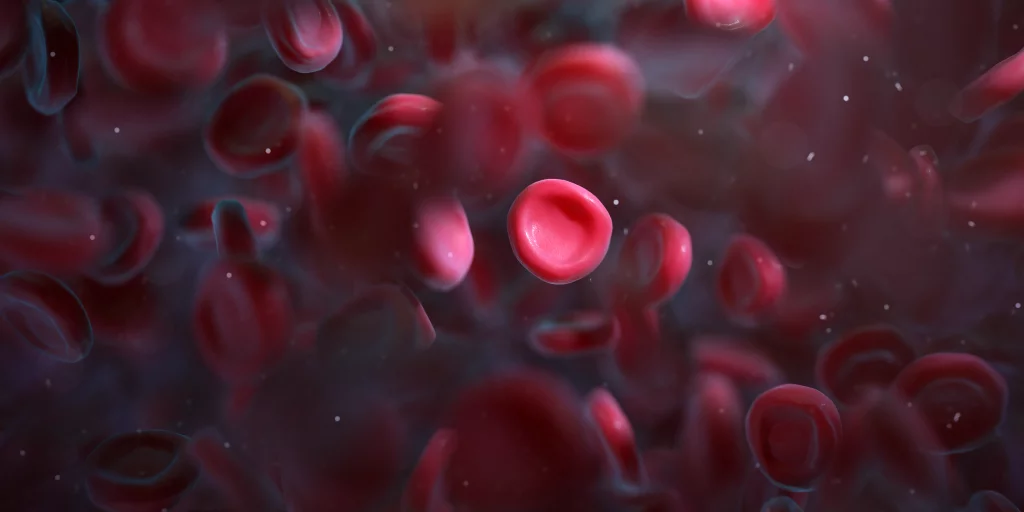 Red blood cell 3d graphic.